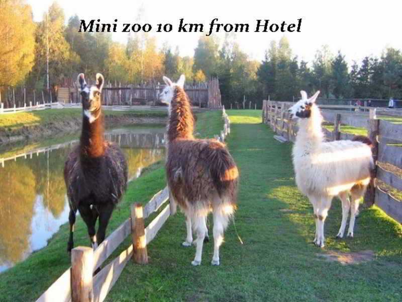 Hotel Pajurio Vieskelis Klaipeda Luaran gambar
